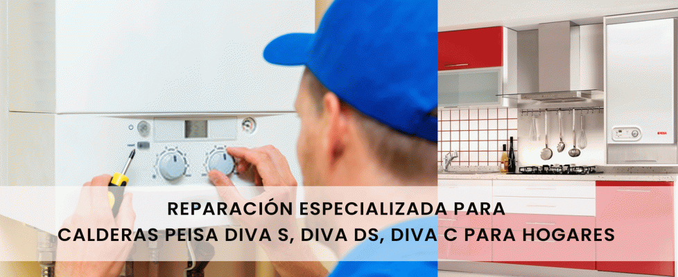 Reparación especializada para calderas Peisa Diva S, Diva DS, Diva C para Hogares