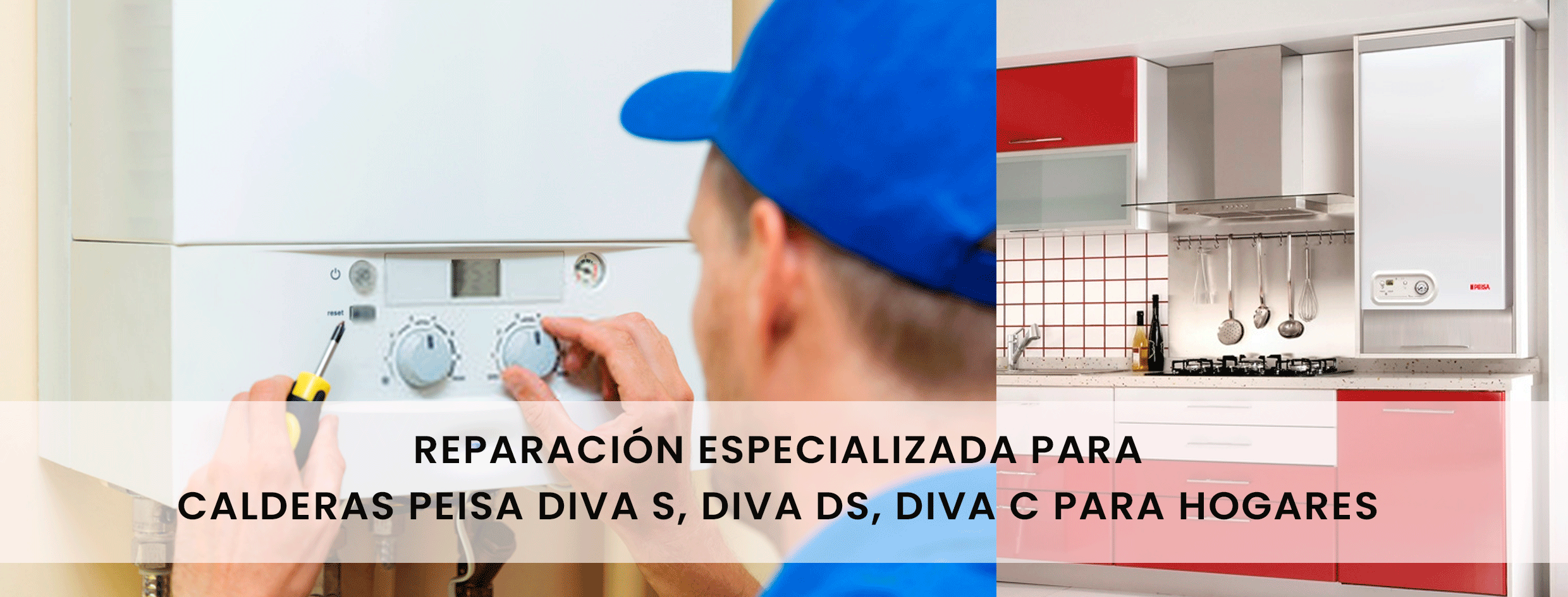 Reparación especializada para calderas Peisa Diva S, Diva DS, Diva C para Hogares